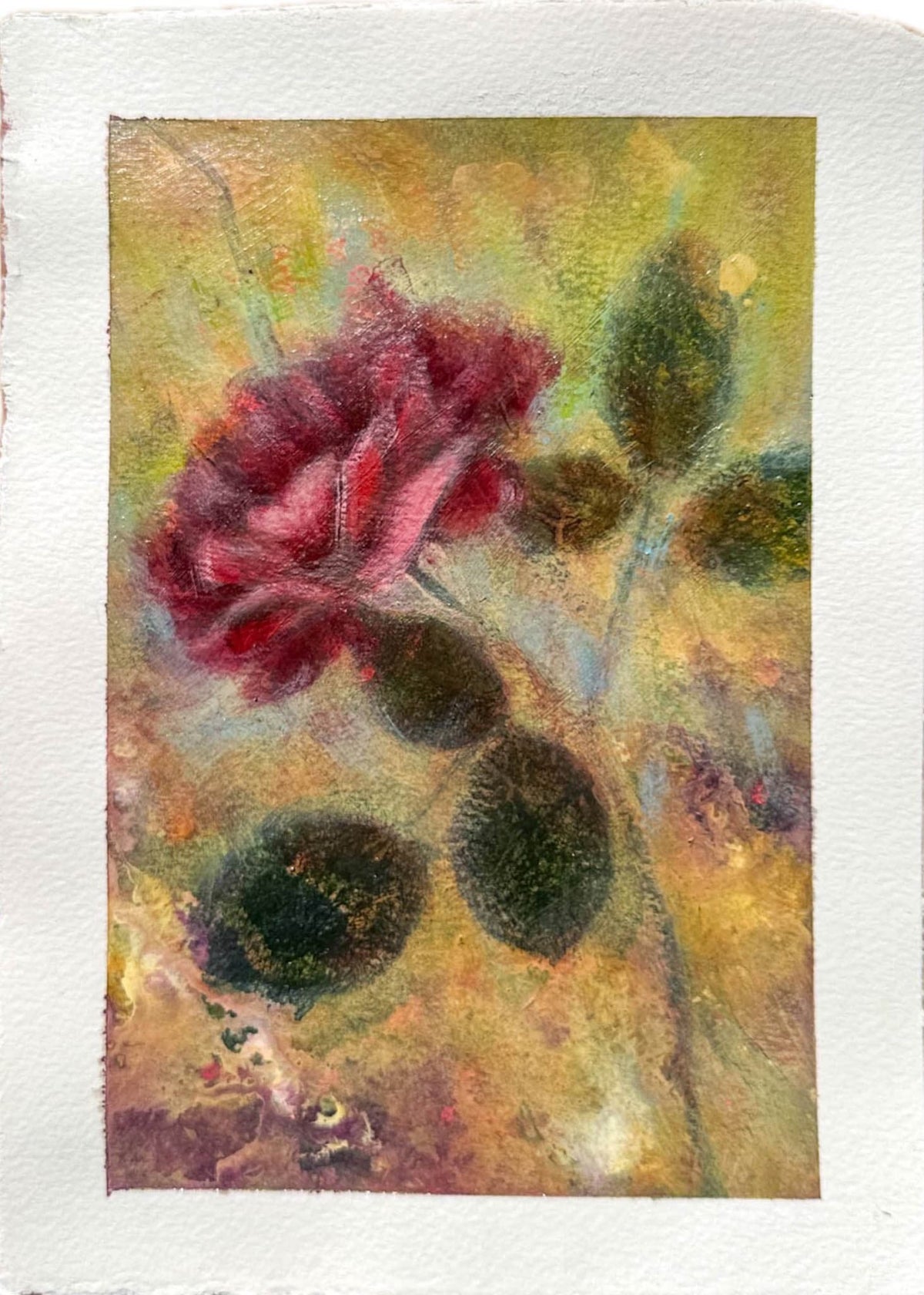 Held by Light IV ~ Home in Bloom